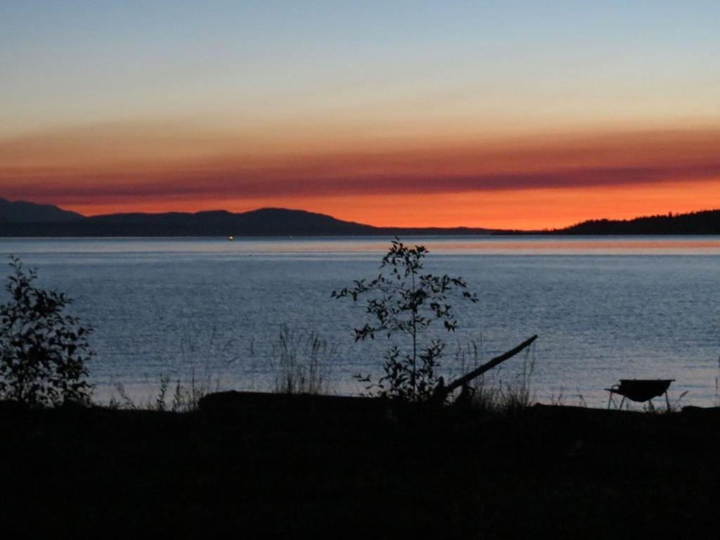 Maxwelton Beach Sunsets! Kayaks & Paddleboards! 1 Min Walk To The Water! Clinton Exterior foto