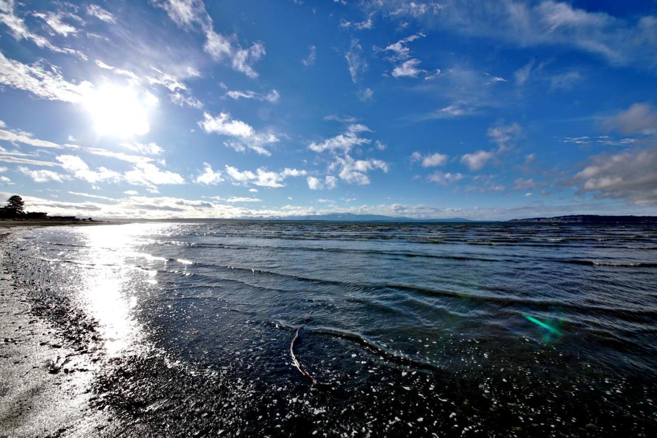 Maxwelton Beach Sunsets! Kayaks & Paddleboards! 1 Min Walk To The Water! Clinton Exterior foto